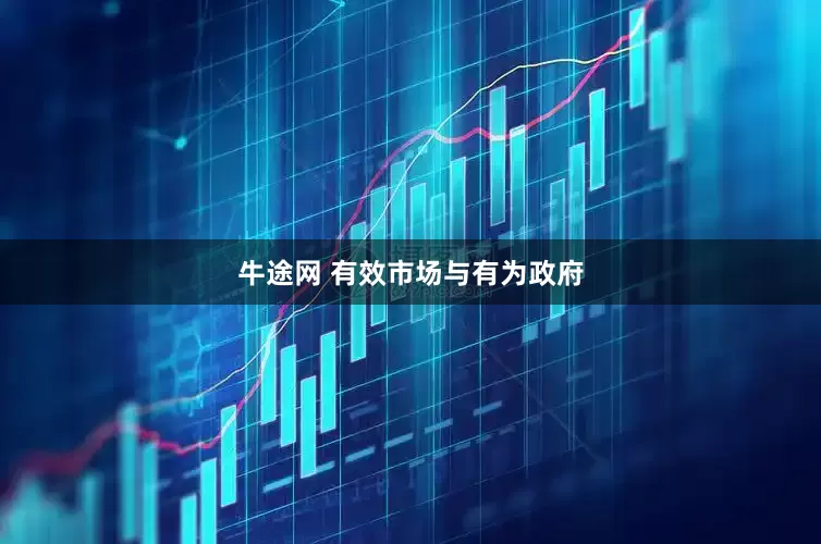 牛途网 有效市场与有为政府
