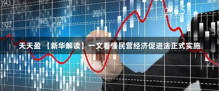 天天盈 【新华解读】一文看懂民营经济促进法正式实施