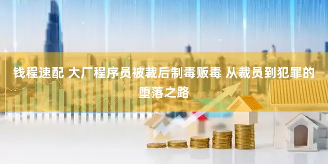 钱程速配 大厂程序员被裁后制毒贩毒 从裁员到犯罪的堕落之路