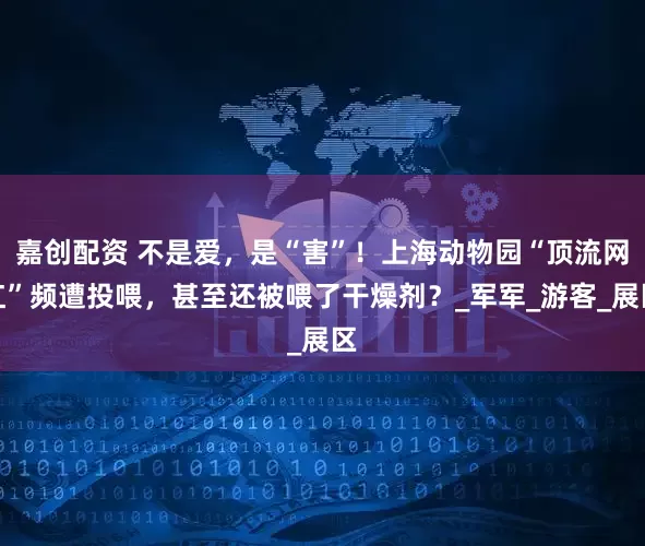 嘉创配资 不是爱，是“害”！上海动物园“顶流网红”频遭投喂，甚至还被喂了干燥剂？_军军_游客_展区