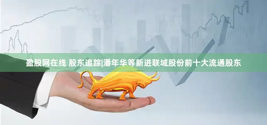 盈股网在线 股东追踪|潘年华等新进联域股份前十大流通股东