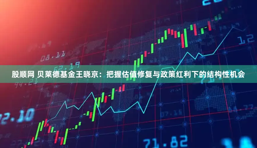 股顺网 贝莱德基金王晓京：把握估值修复与政策红利下的结构性机会